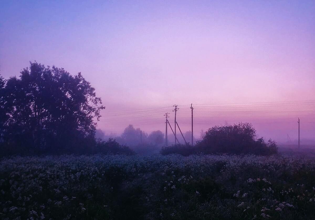 媒体人晒女篮赛场片段：女篮以第四名的成绩结束了本届亚洲杯